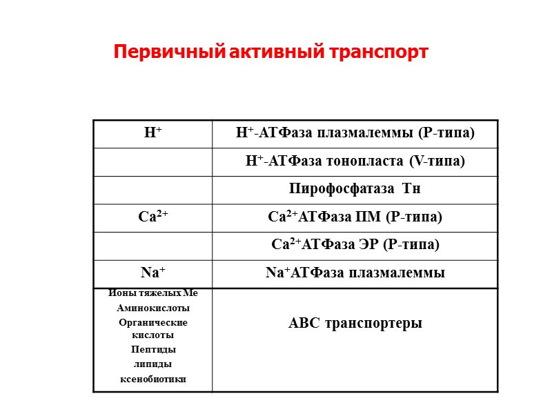 Первичный активный транспорт